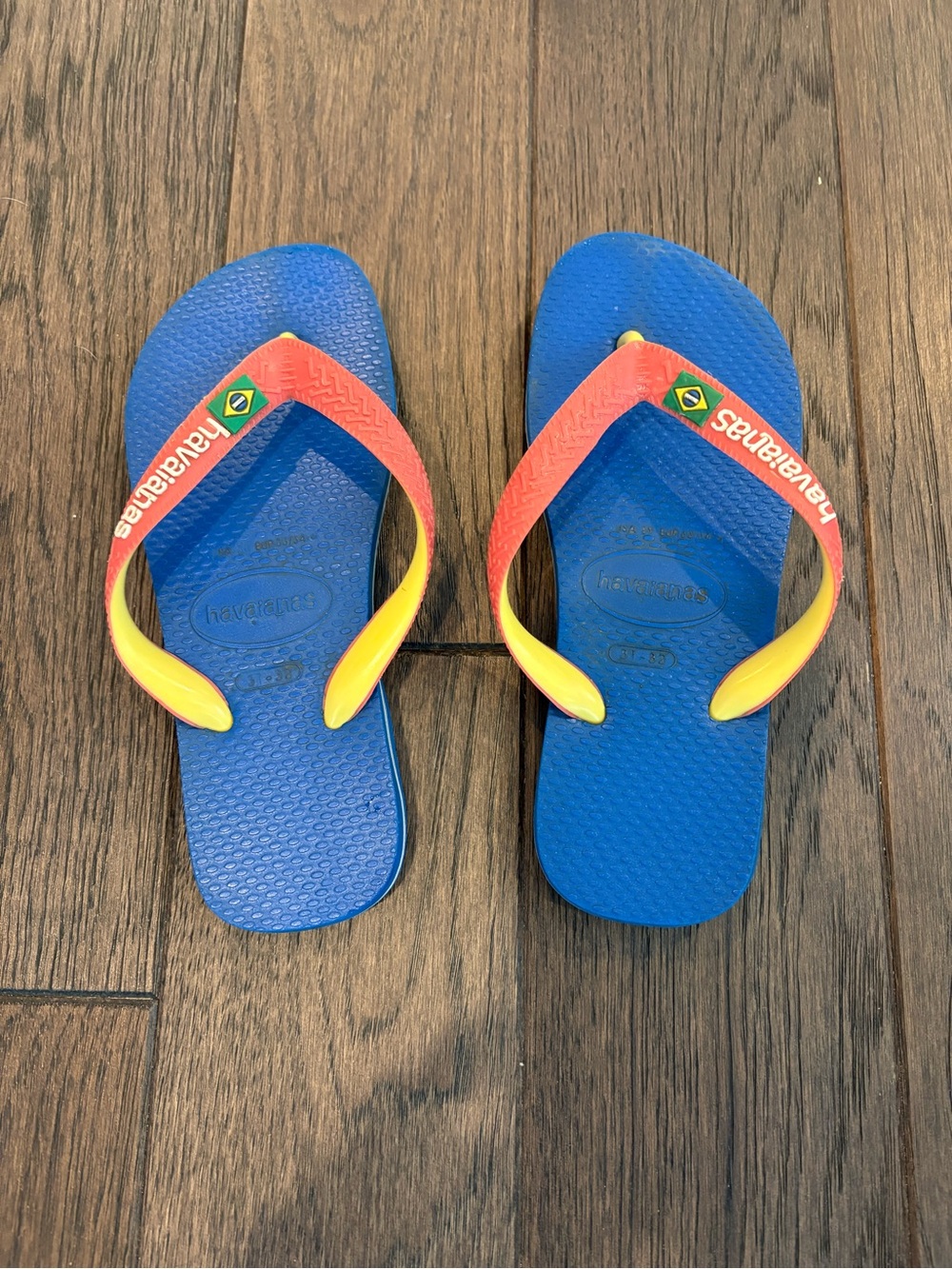 Havaianas Kids Blue Red Yellow Brazilian Flag Flip Flops